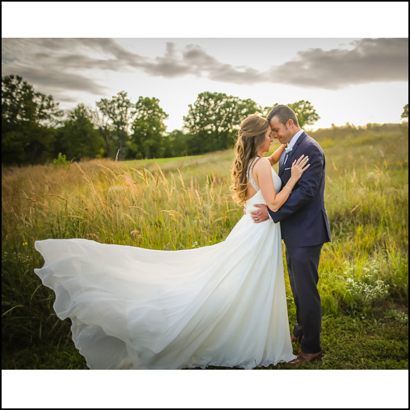 Link to Greater St Louis area Wedding Photographers gallery: Linnsie and Brian