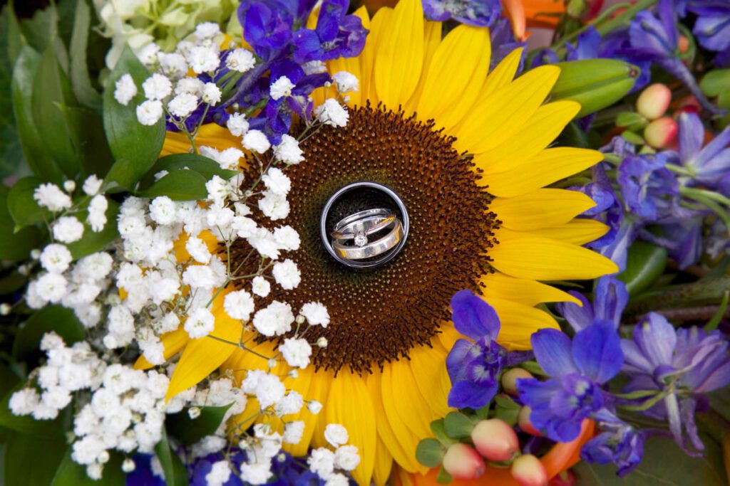 The bride and groom’s wedding rings on a sunflower