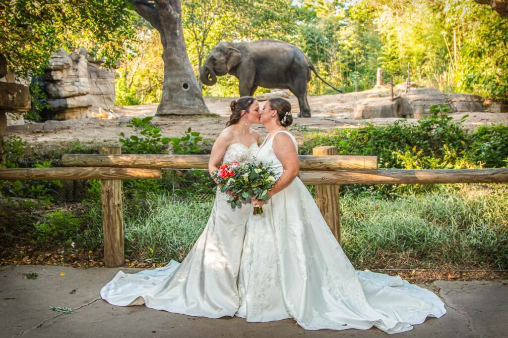 Brides kissing near the elephant enclosure