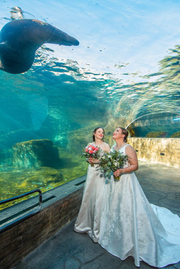 The brides under an ocean aquarium