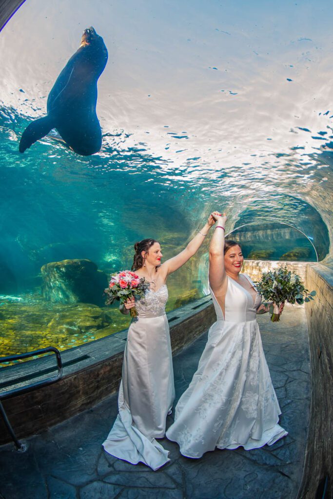 The brides dancing under the ocean aquarium