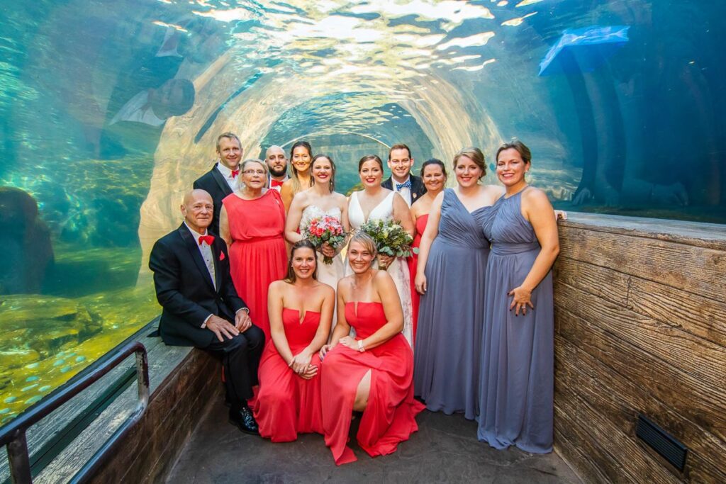 The brides and attendants under an ocean aquarium