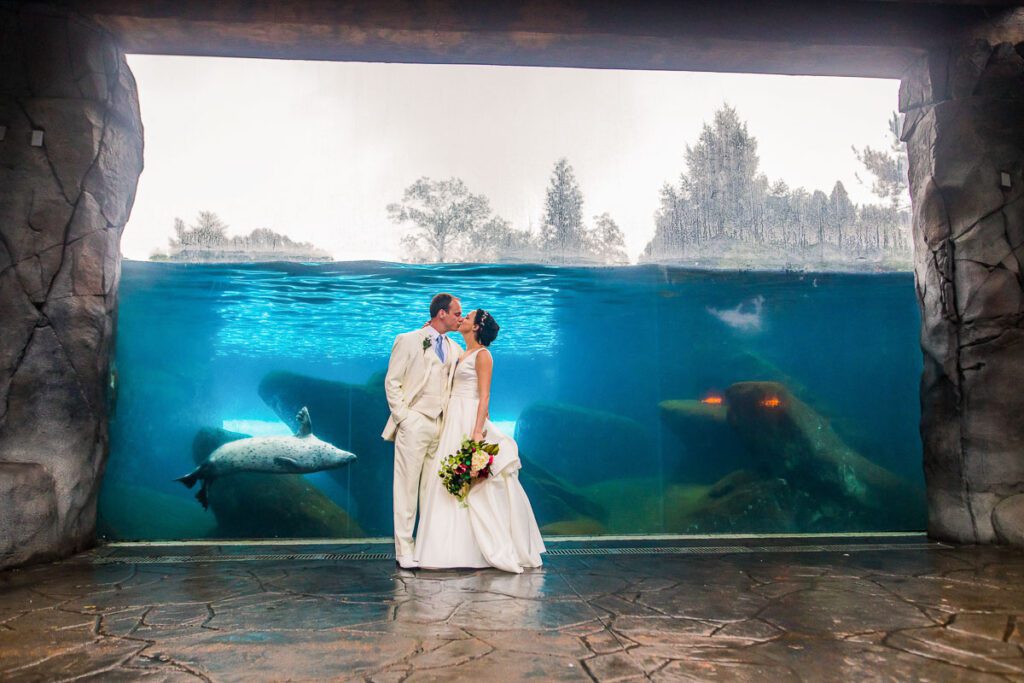 Ben and Claire kiss in front of a seal enclosure