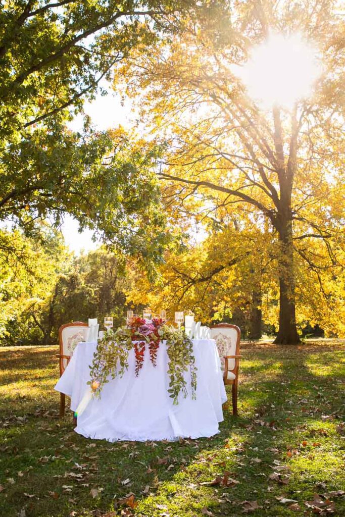 A table set up under the trees