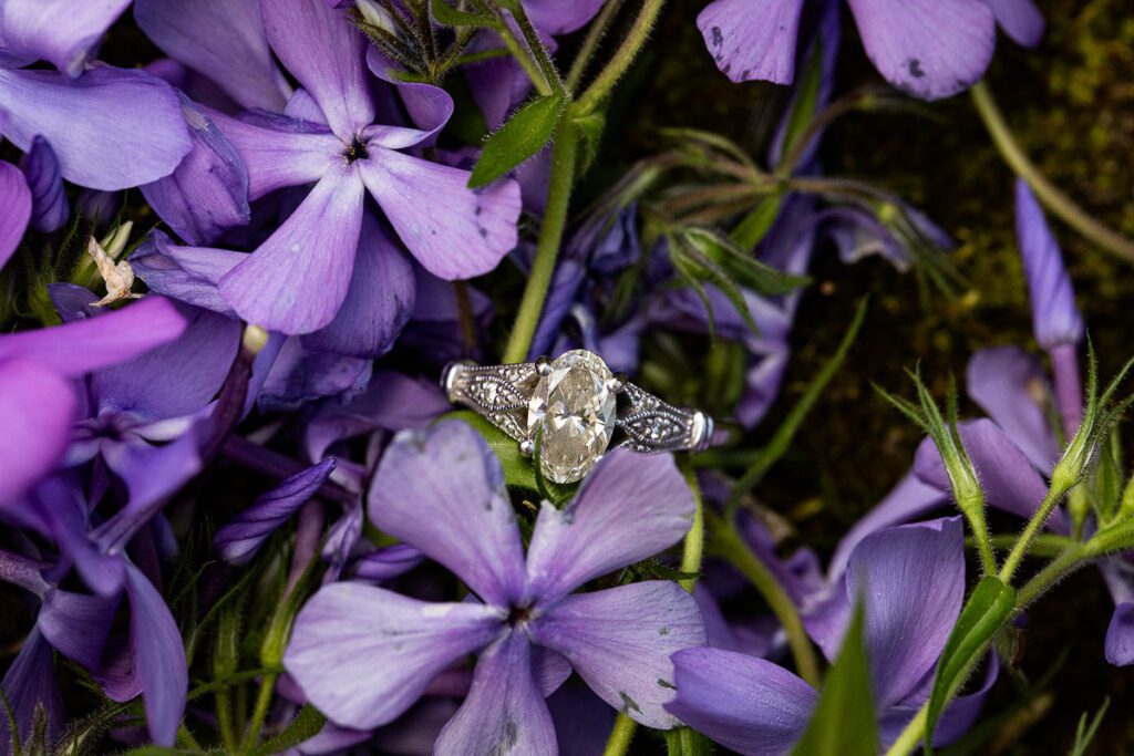 A beautiful ring on purple flowers